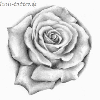 Tattoomotiv Rose