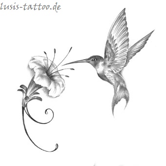 Tattoomotiv Kolibri