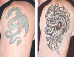Cover-up Drache Biomechanik